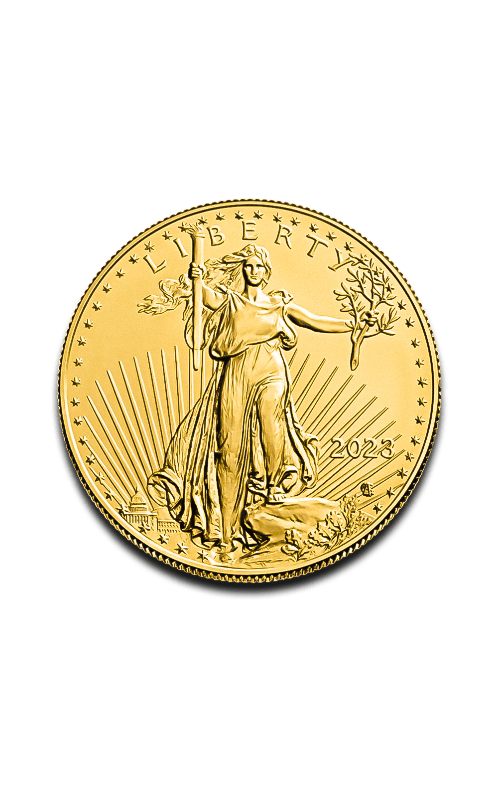 1 oz American Gold Eagle Coin - GoldUnion US