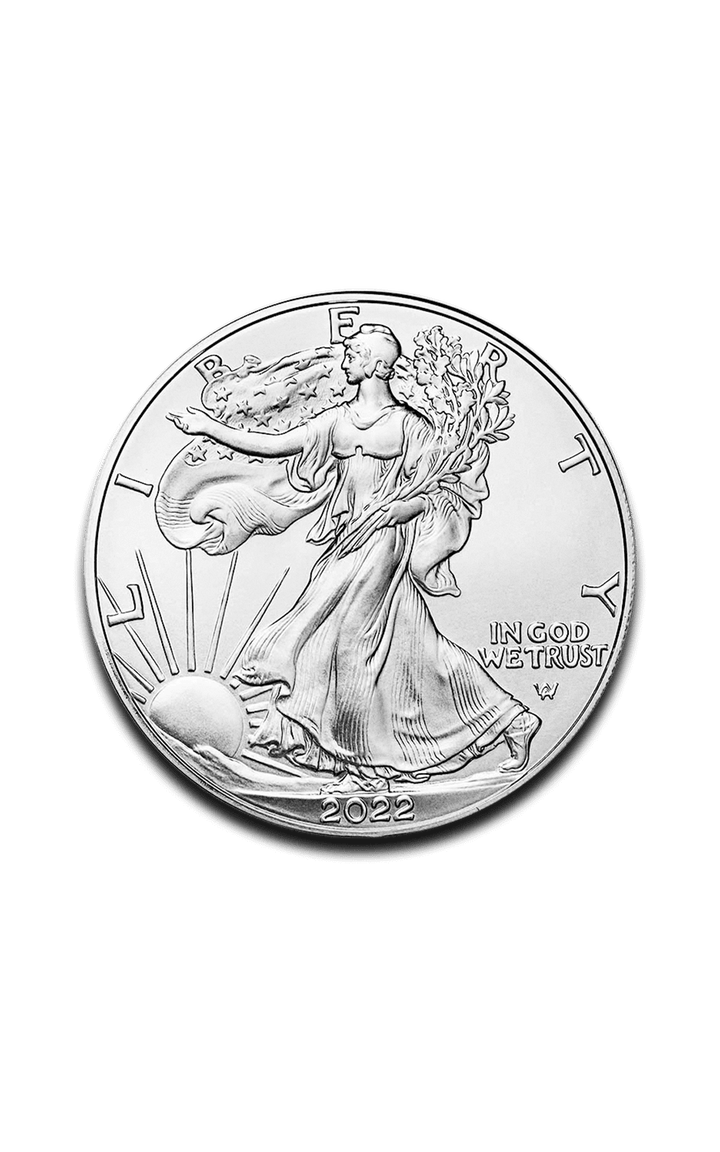 1 oz American Silver Eagle Coin - GoldUnion US