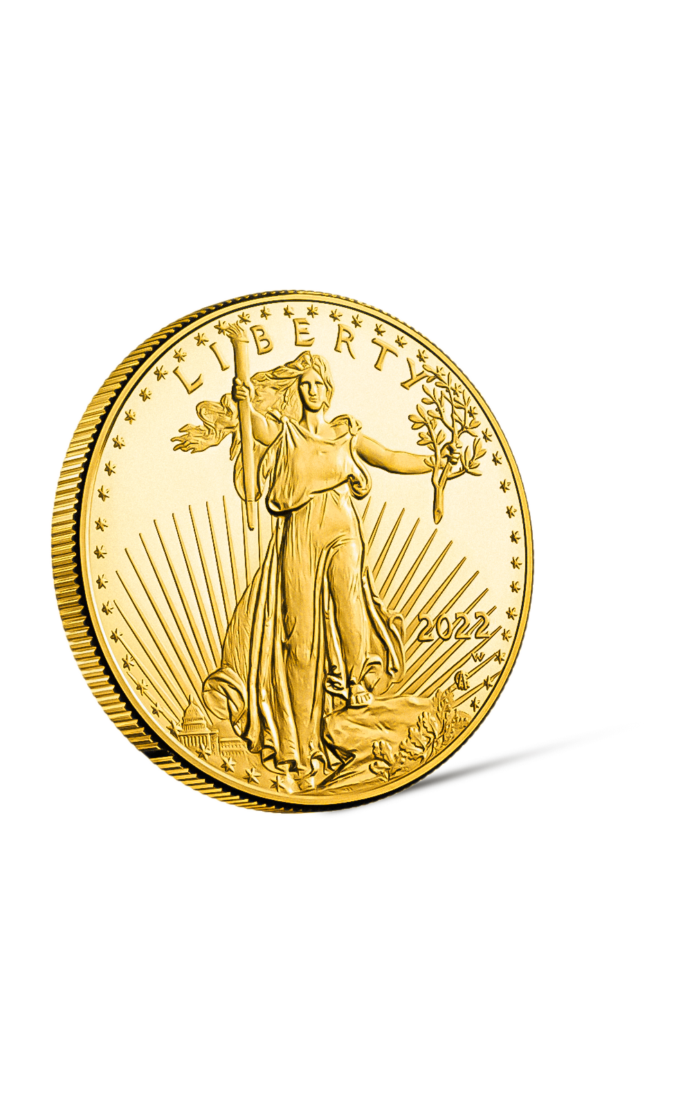 1 oz American Gold Eagle Coin