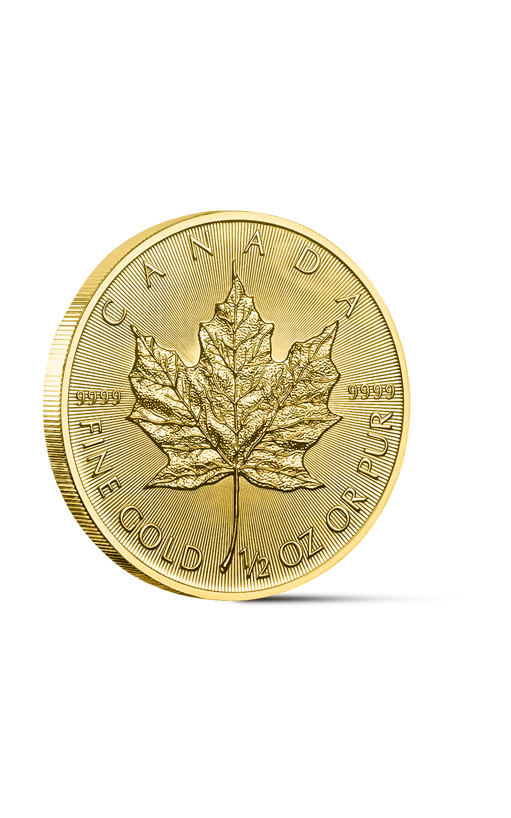 Canada 1/2 oz Gold Maple Leaf