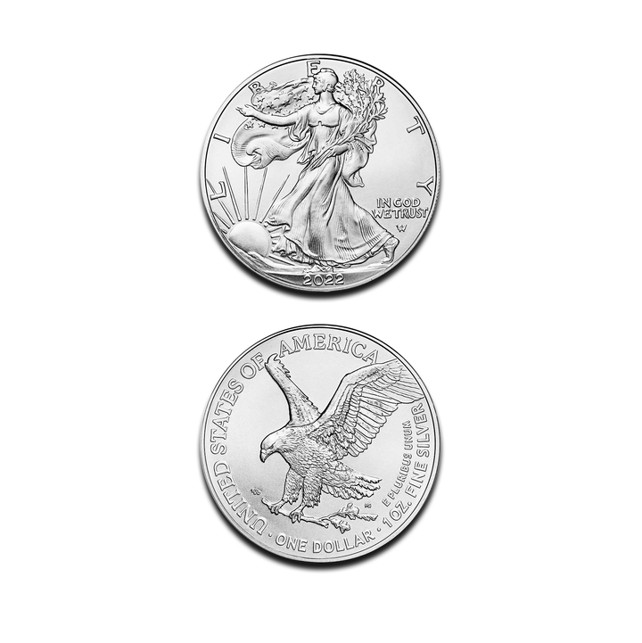 1 oz American Silver Eagle Coin