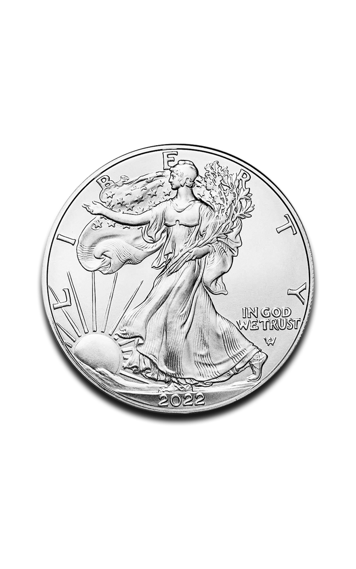 1 oz American Silver Eagle Coin