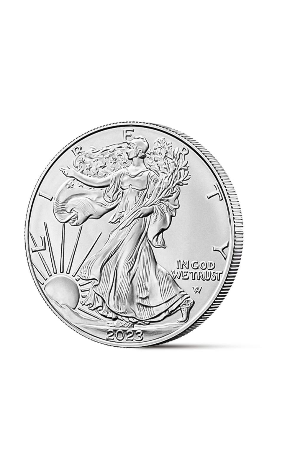 1 oz American Silver Eagle Coin