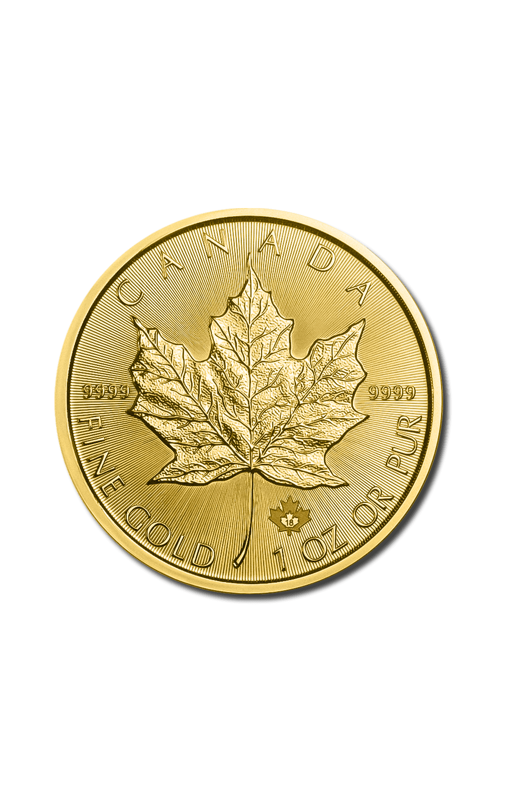 Canada 1 oz Gold Maple Leaf - GoldUnion US