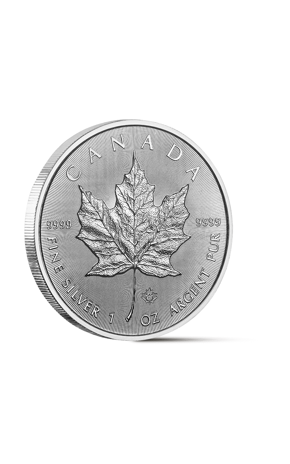Canada 1 oz Silver Maple Leaf - GoldUnion US