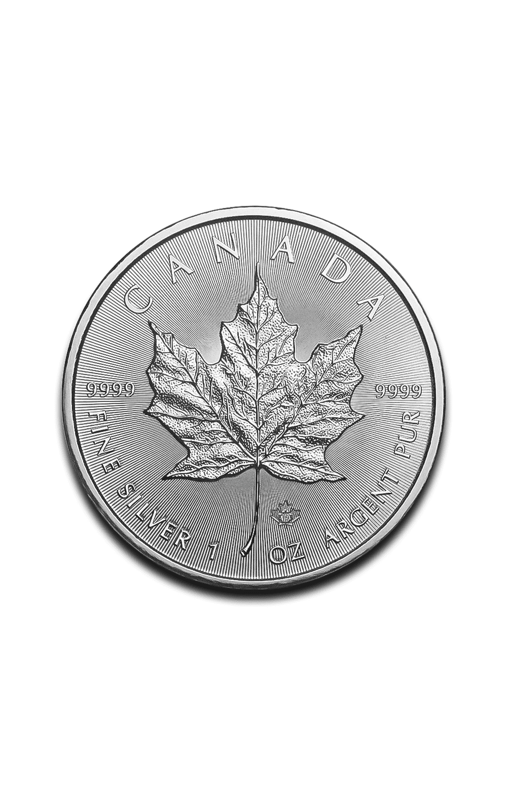 Canada 1 oz Silver Maple Leaf - GoldUnion US