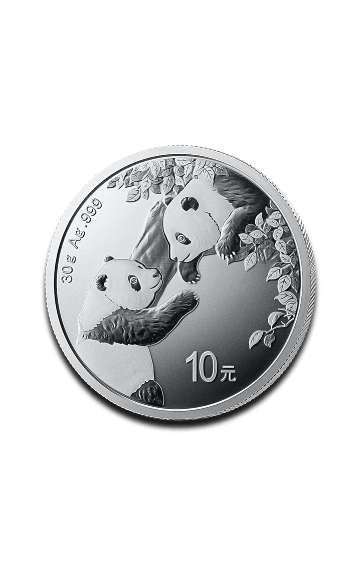 China 30 gram Silver Panda - GoldUnion US