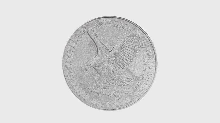 1 oz American Silver Eagle Coin